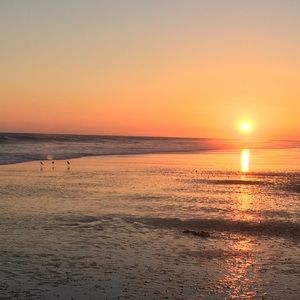 Meet your Posher, Chalane